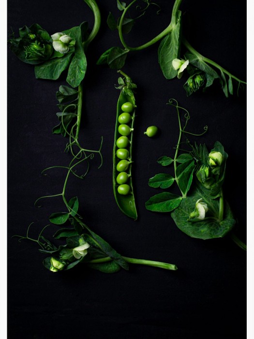 Photography 70x50cm