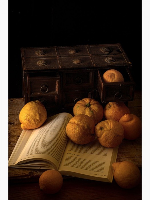 Photography 70x50cm