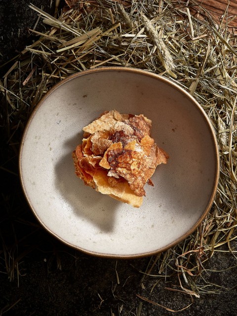 Assiette à Soupe 22