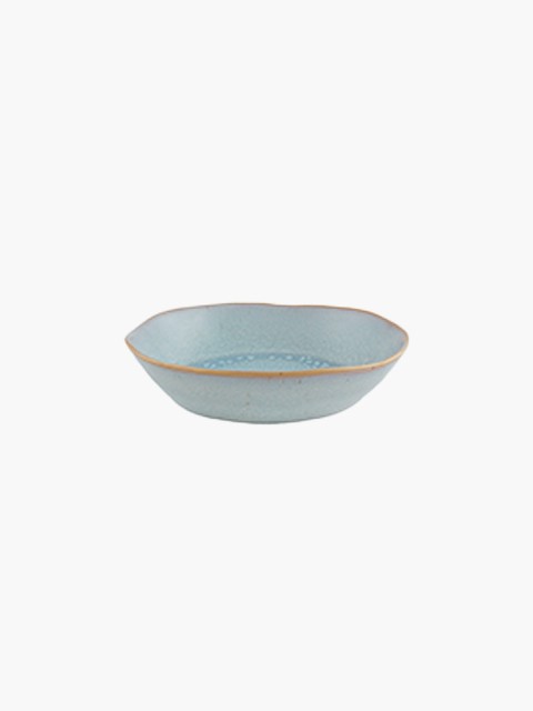 Soup Plate 22