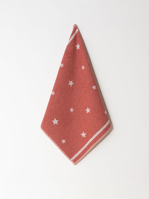 Set of 4 Terry Towels Brick