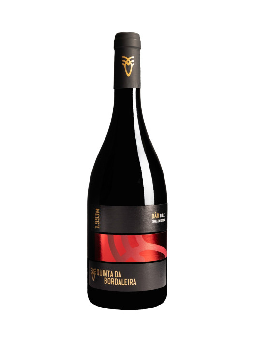 Vino Tinto 2018